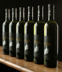 cantina soave bottiglie